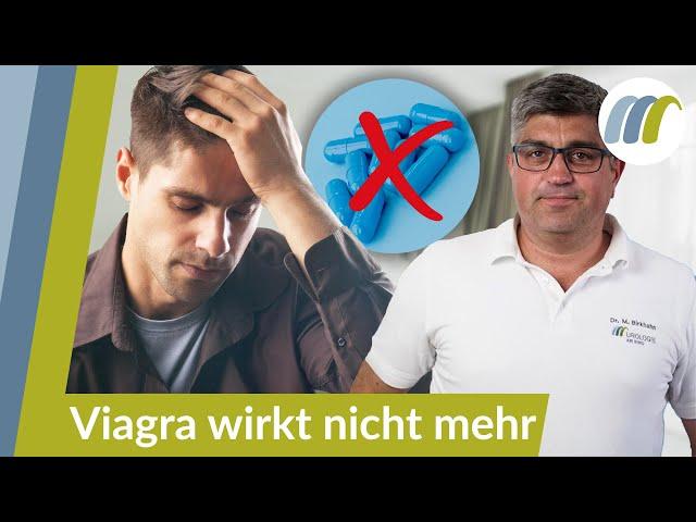 Testolib Reviews – Internationale Erfahrungen im Überblick