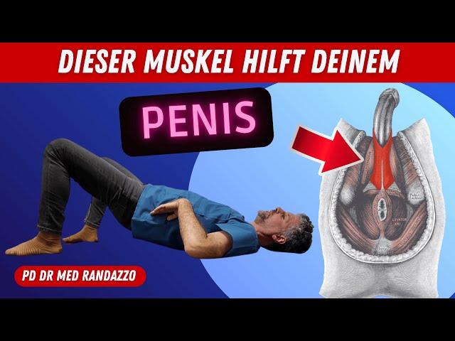 Macho Macho Apotheke – Rezeptfrei erhältlich oder nur online?